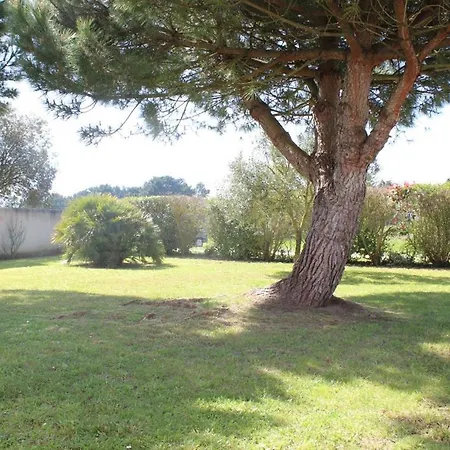 Villa Ile D'oleron - Georges D'oleron - Maison 6 Couchages - Sgo000-252